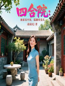 四合院主角贾梗小说
